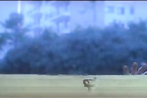 Kinky and sexually excited blonde playgirl got her muff permeated by some jerk