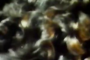 Greased up classic blond chick eats cock in the gym