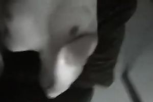 I love to fuck my wife's captivating snatch from behind