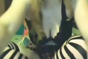 Amateur sexy blondie feels great on the cam and flashes goodies