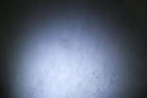 Just rubbing my brown wang betwixt the wazoo cheeks of my playgirl