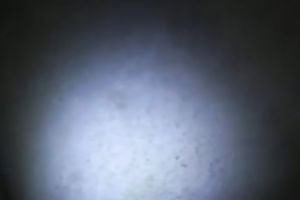 Just rubbing my brown wang betwixt the wazoo cheeks of my playgirl