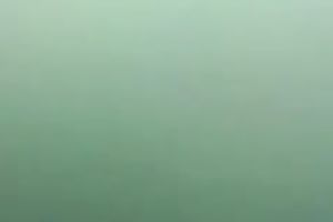 Sexy and sexual nympho is engulfing my thick black dick like a champ