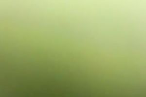 Sexy and sexual nympho is engulfing my thick black dick like a champ