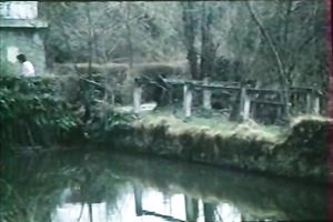 Kinky redhead sucks jock and receives fucked into ass in sideways position