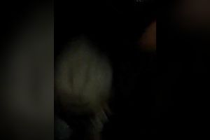 Kinky girlfriend gives me steamy tugjob on the educate