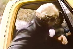 Lovely and lascivious elegant dark brown having FMM trio