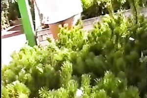 Wife in airy summer costume flashes her wazoo at the florist shop