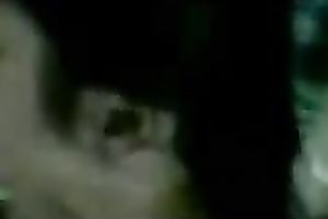 Skinny Thai hooker blows my weenie on POV fuck episode