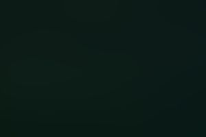 Skinny Thai hooker blows my weenie on POV fuck episode