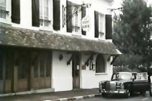 French horny and perverted blondie gave a valuable oral