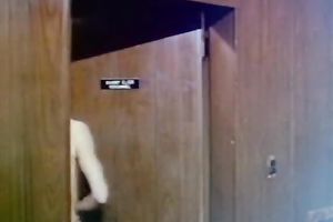 Busty and perverted playgirl got drilled actually hard by her ally