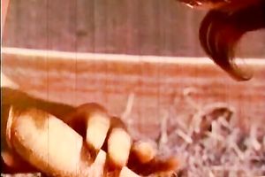 Collective great fuckfest near the pool makes me so excited