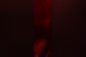 Dirty mama pokes her twat with sextoy in stolen intimate masturbation vid