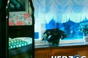 Vintage porn clip of 3 bitches sharing one stud