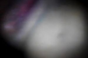 Playing with the taut shaved snapper of my girlfriend