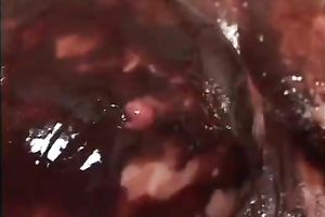 Chocolate fetish scene with a titjob and passionate sex