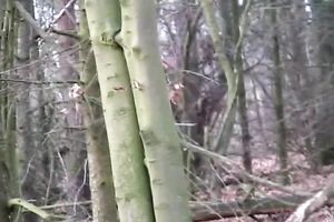 Pale skinned non-professional sweetheart plays with her pink cum-hole outdoor