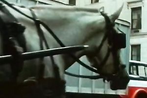 Horny and dirty blondie takes off her garments to fuck