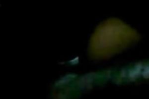 Hot and bulky dilettante Desi with her paramour in the bedroom