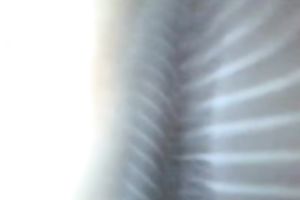 Amateur MILFie babe in cute nightie was teasing her wet crack and my pecker