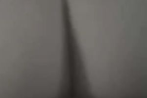 I love to fuck my bulky bottomed black cock sluts hard from behind