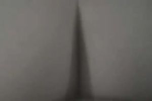 I love to fuck my bulky bottomed black cock sluts hard from behind