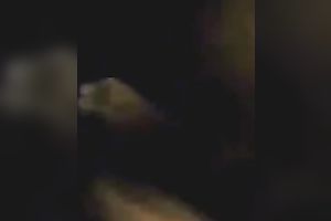 Cock hardening babe gives head and then I fuck her hard from behind