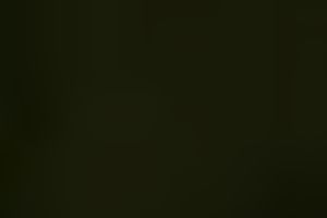 Me and my Indian amateur wife having sex in our bedroom in the evening