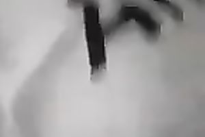 Two glamorous dark brown cuties kissed and teased each other's moist slits