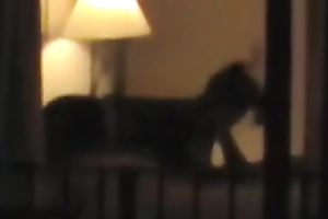 Check out quite precious voyeur sex tape of dilettante pair having steamy sex