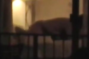 Check out quite precious voyeur sex tape of dilettante pair having steamy sex