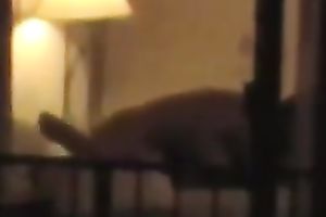 Check out quite precious voyeur sex tape of dilettante pair having steamy sex