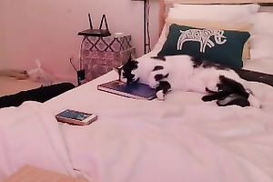 Fantastic gorgeous dark brown girlie in black stuff and her sex toy show on web camera
