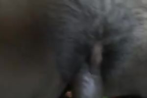 My meaty dark shlong permeates hirsute and juicy pussy of GF unfathomable