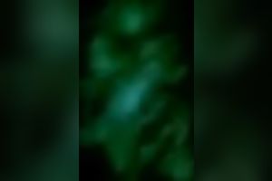 Sexy brunette honey gives me some indeed astonishing orall-service