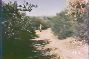 White doxy got her cunt permeated by her ally who can't live without juicy and constricted love tunnels