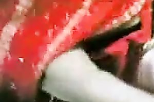 Amateur black skinned Desi dark brown nympho was blowing rigid jock