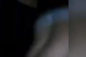 Fucking a lewd Venezuelan black cock sluts on web camera felt awesome