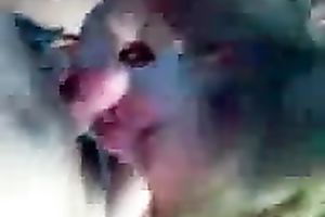 Wife gave me a good blow job in our bedroom and swallowed some cum