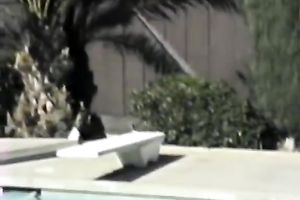 Blonde hottie with large natural mangos is drilled in steamy Male+Male+Female 3some