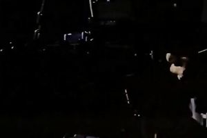 Magnetic dark brown slut gives her paramour an amazing orall-service