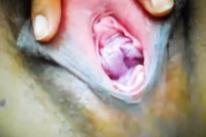 Damn great closeup of my friend's gal's snatch who likes masturbation