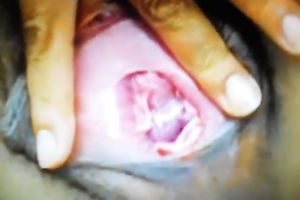 Damn great closeup of my friend's gal's snatch who likes masturbation