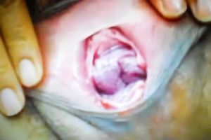 Damn great closeup of my friend's gal's snatch who likes masturbation