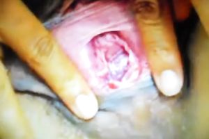 Damn great closeup of my friend's gal's snatch who likes masturbation