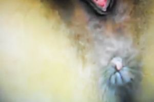 Damn great closeup of my friend's gal's snatch who likes masturbation