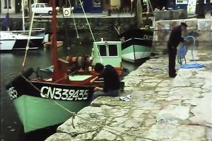 There's no thing than watching 2 hawt honeys having a 3some