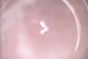 Submissive Japanese carnal cheating wife fignered gently in the rectal hole