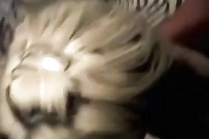 Bootyful dirty slut wife riding hard schlong in reverse cowgirl pose